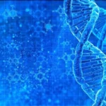 Elevate Your Brunch Game: Creative Ideas for a Memorable Morning Meal